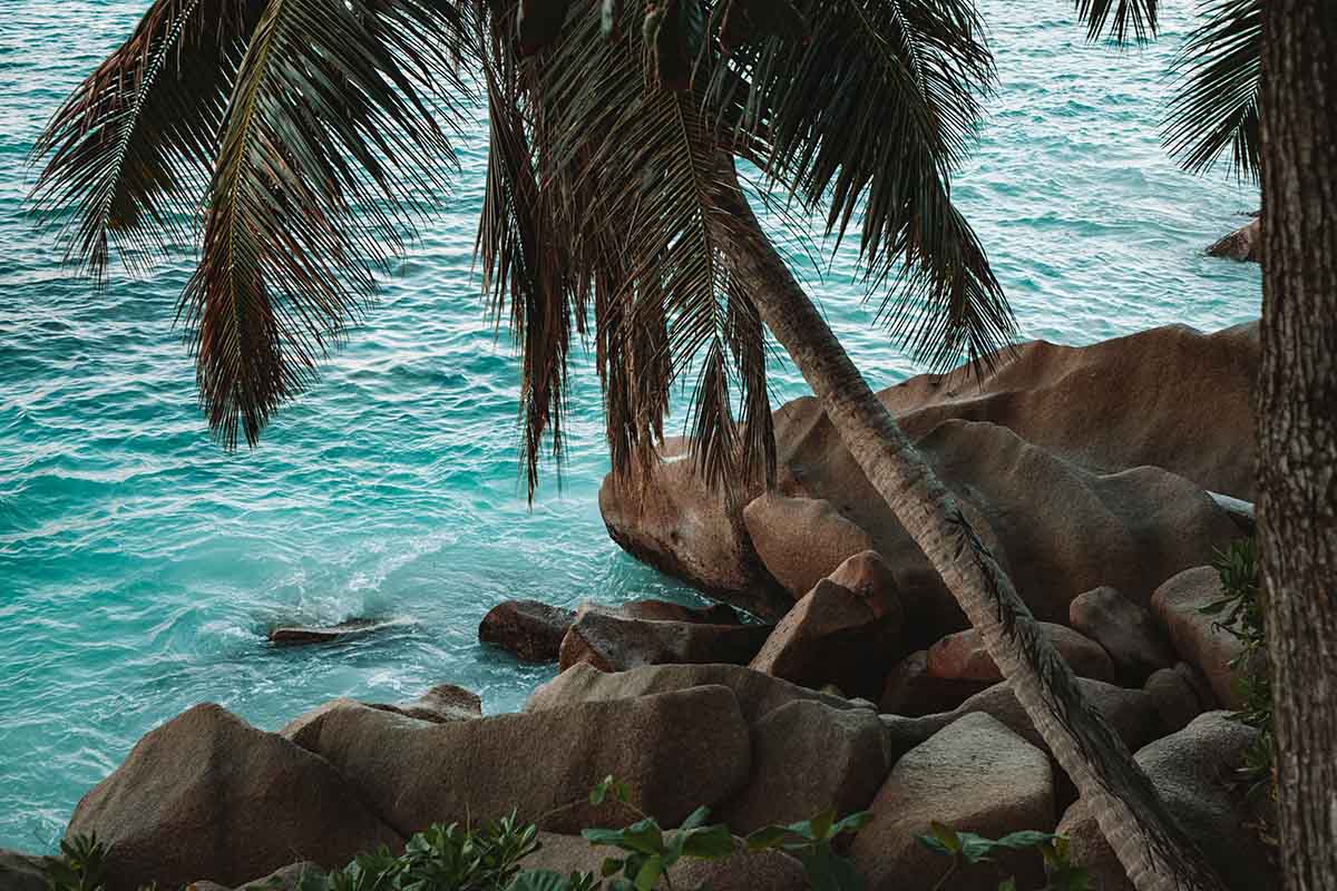 Seychelles beach 