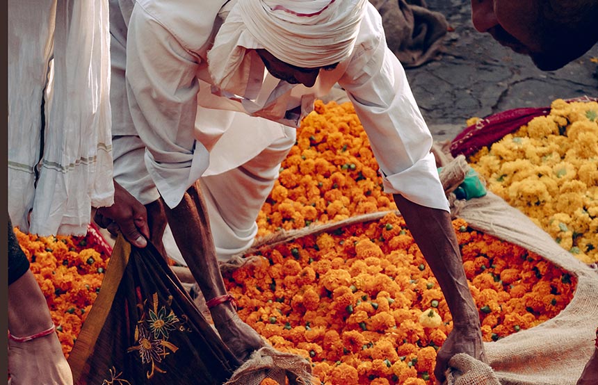 Flowers in Jaipur, India