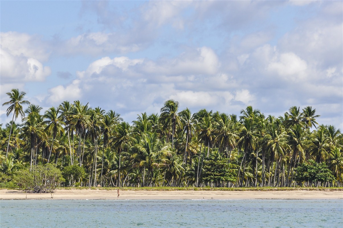 Brazilian beach