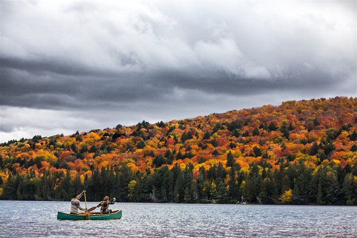 Couple on a canoe with the orange forest in the background