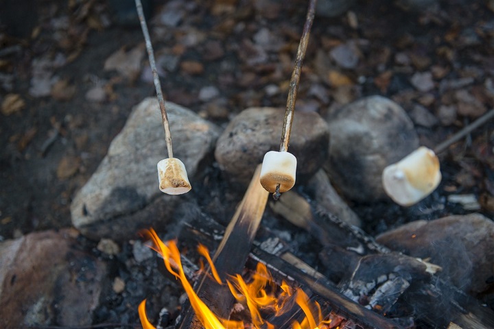 Marshmallows over a wood fire
