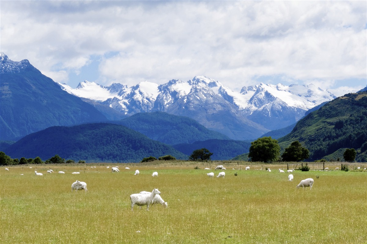 Molesworth Station