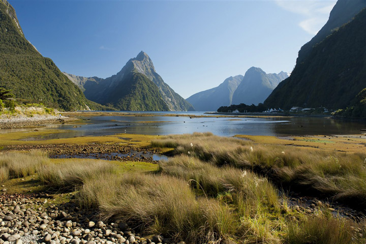 Milford Road