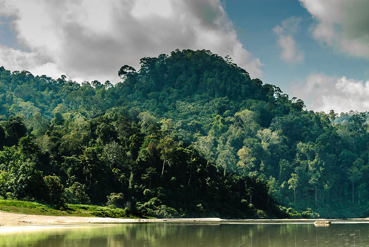 Taman Negara National Park