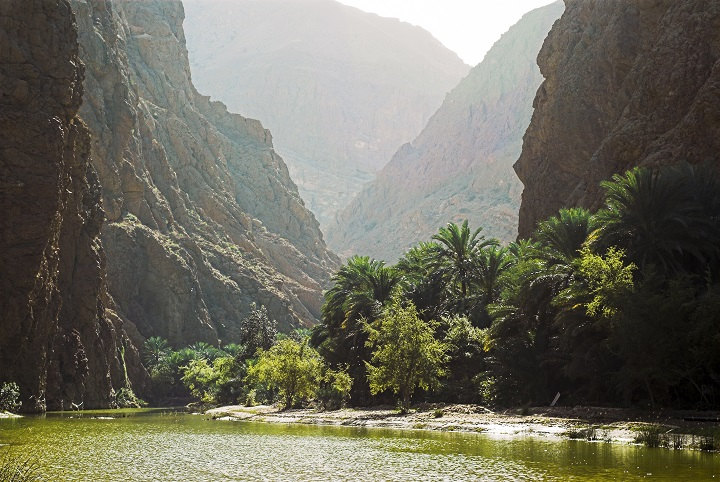 View of Wadi Tiwi