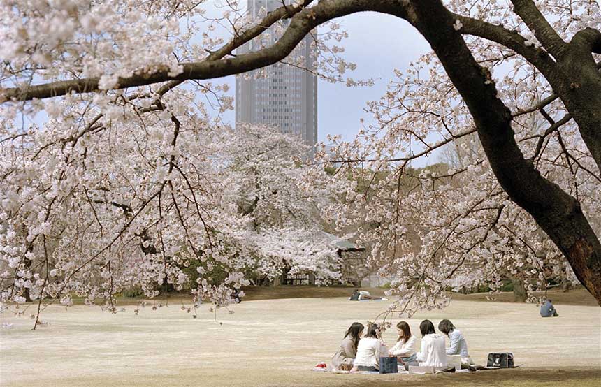 Shinjuku Gyoen National Garden