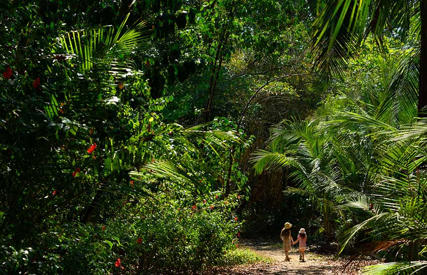 Costa Rican national park