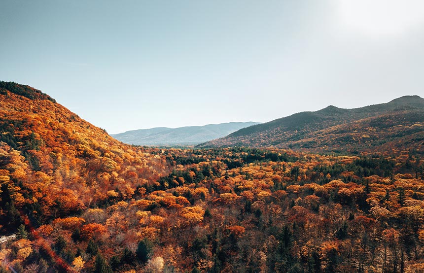 Forest, New Hampshire