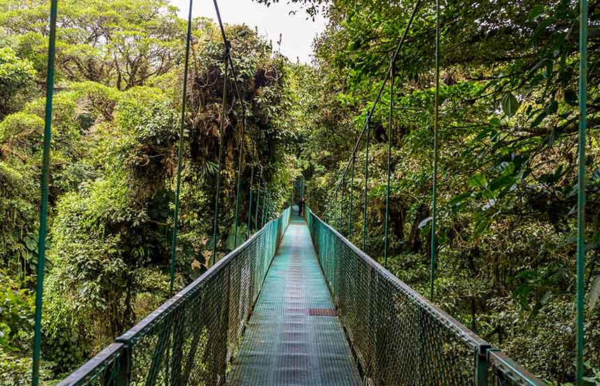 Monteverde National Park, Costa Rica