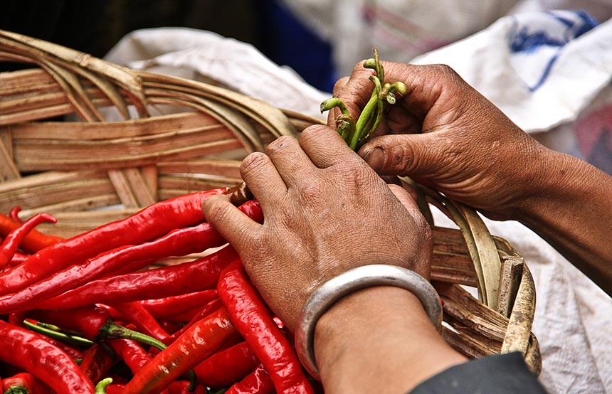 India spices