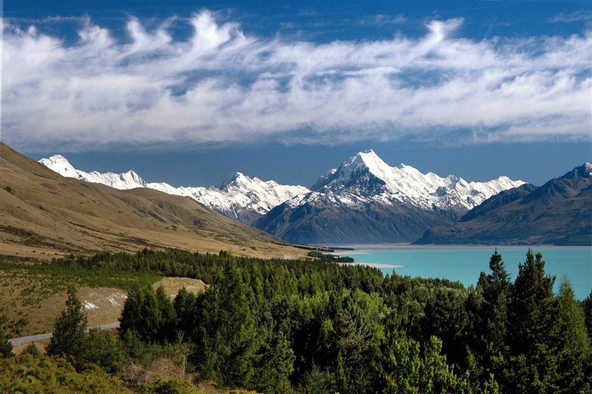 Canterbury Plains