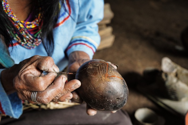 Indigenous woman Amazon