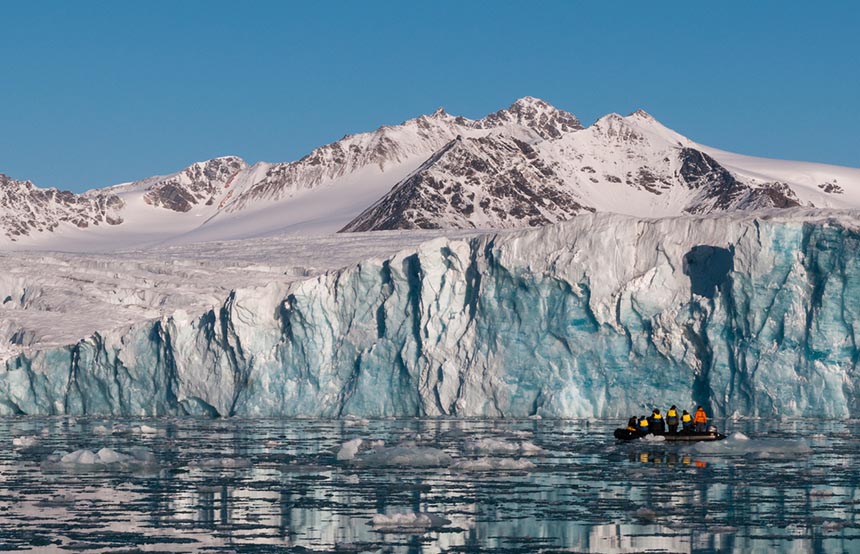 Whale watching in Svalbard