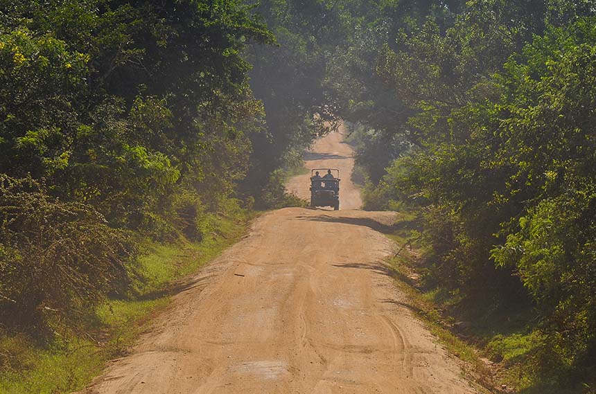 Safari in Sri Lanka