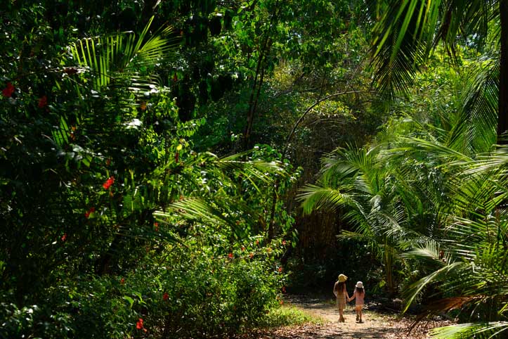 children walking in costa rica