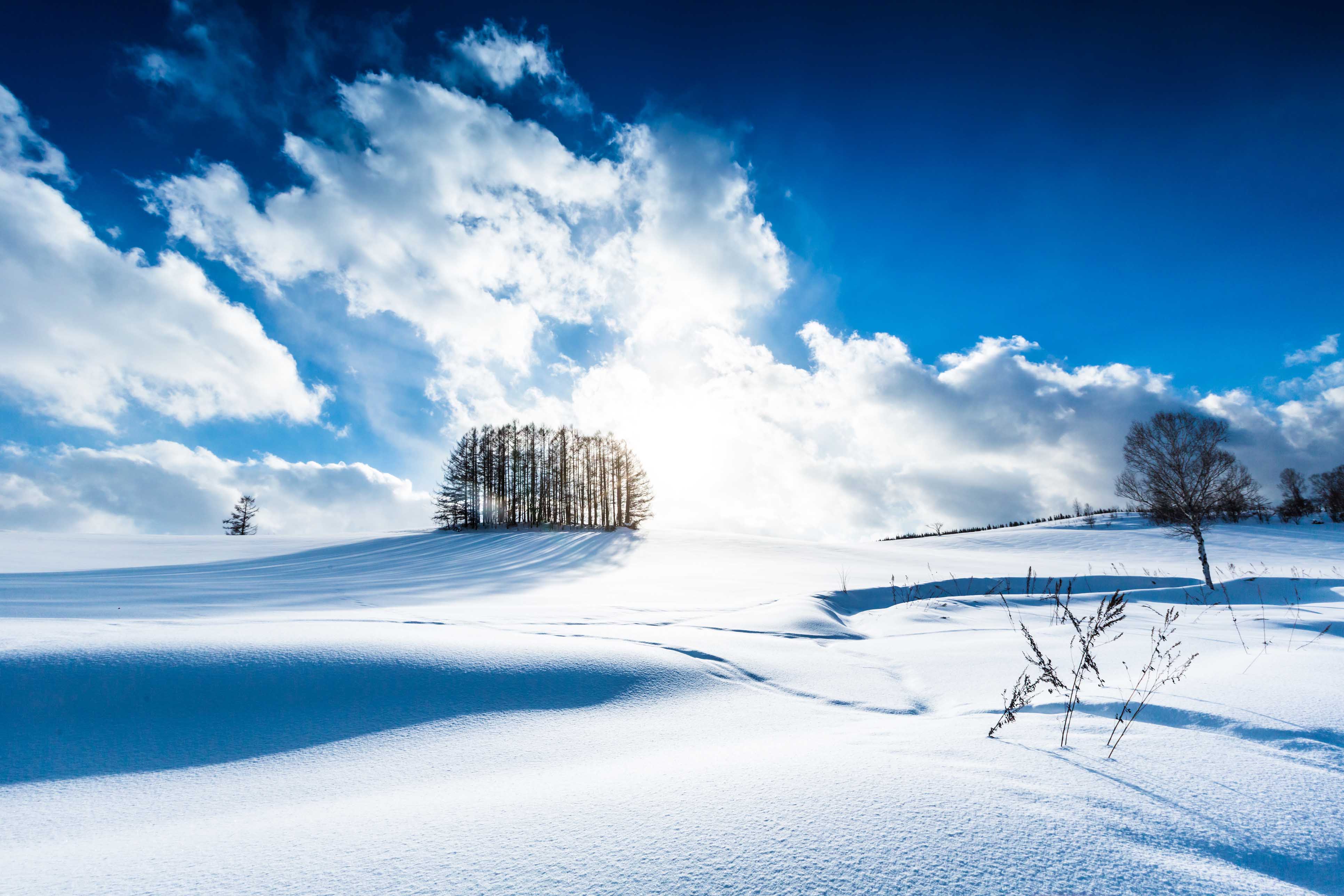 Hokkaidō in Japan snow covered landscape