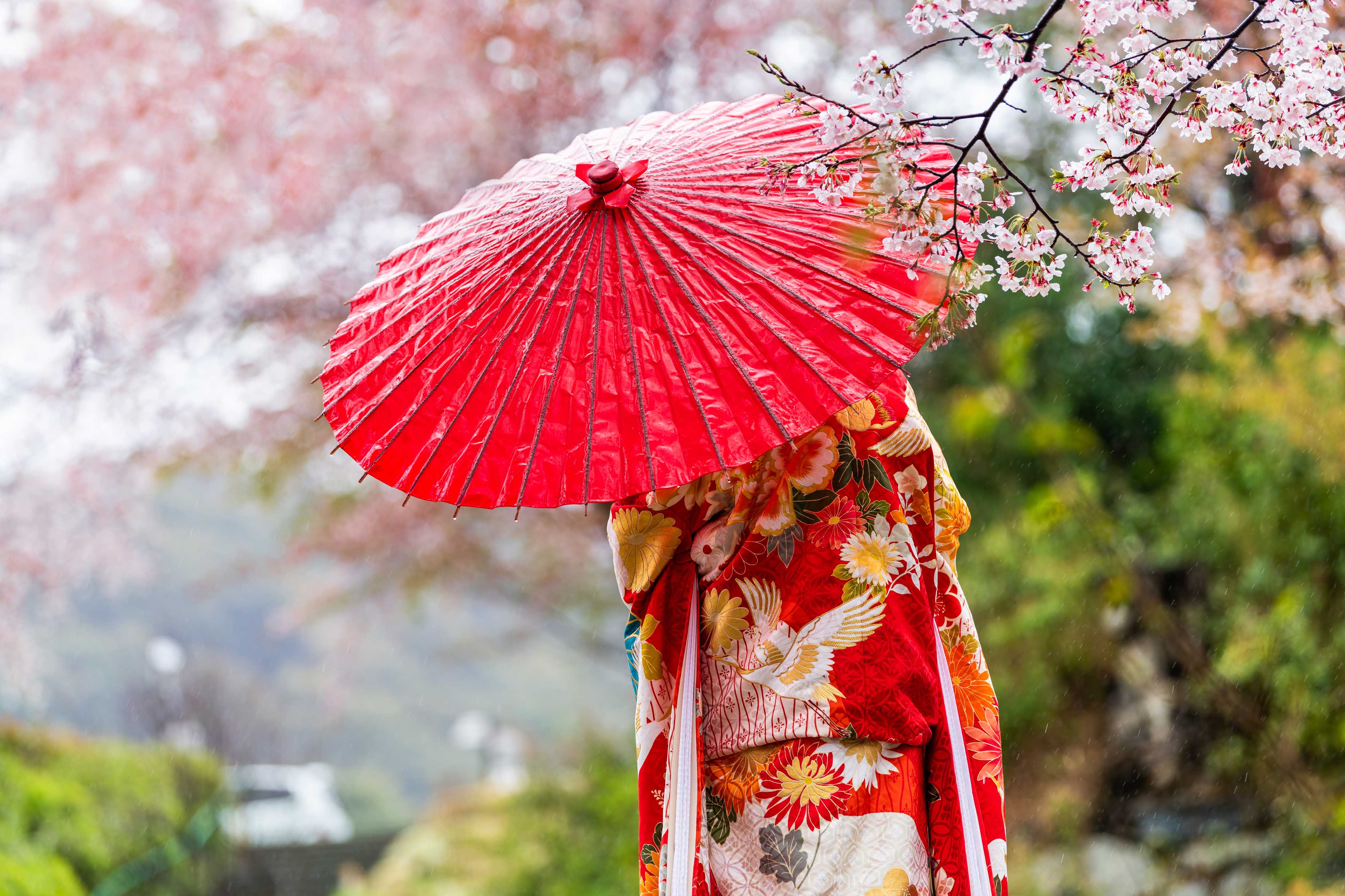 geisha in Japan