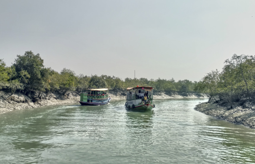 Sundarbans