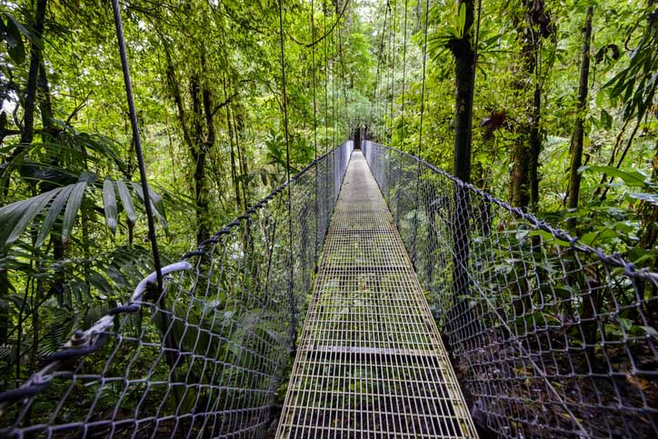 Costa rica bridge walk