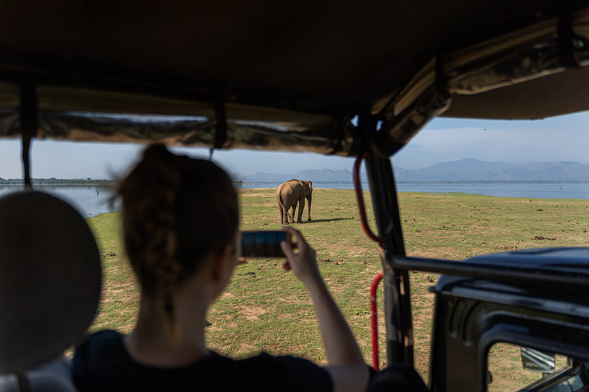 Elephant spotting in Sri Lanka