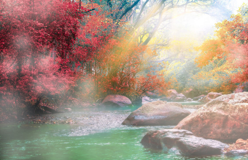 Japanese Onsen