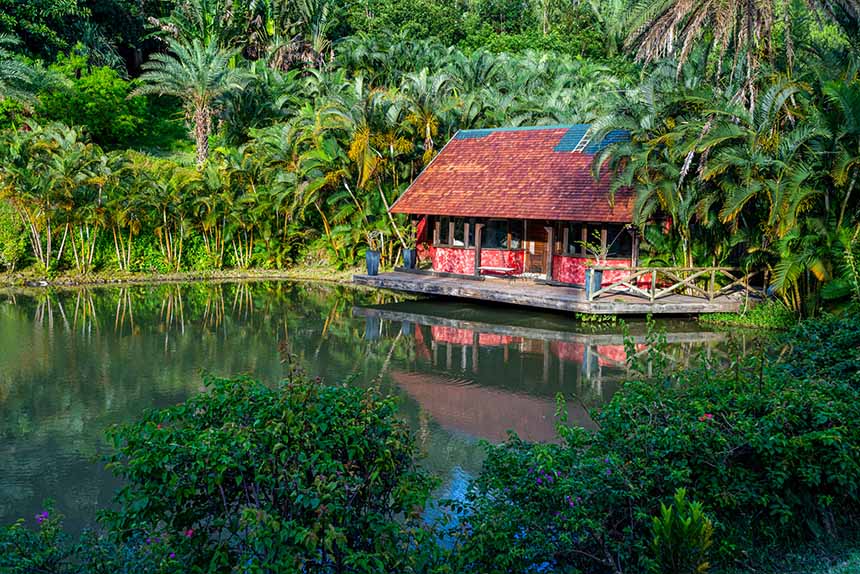 Restaurant in the jungle in Mauritius