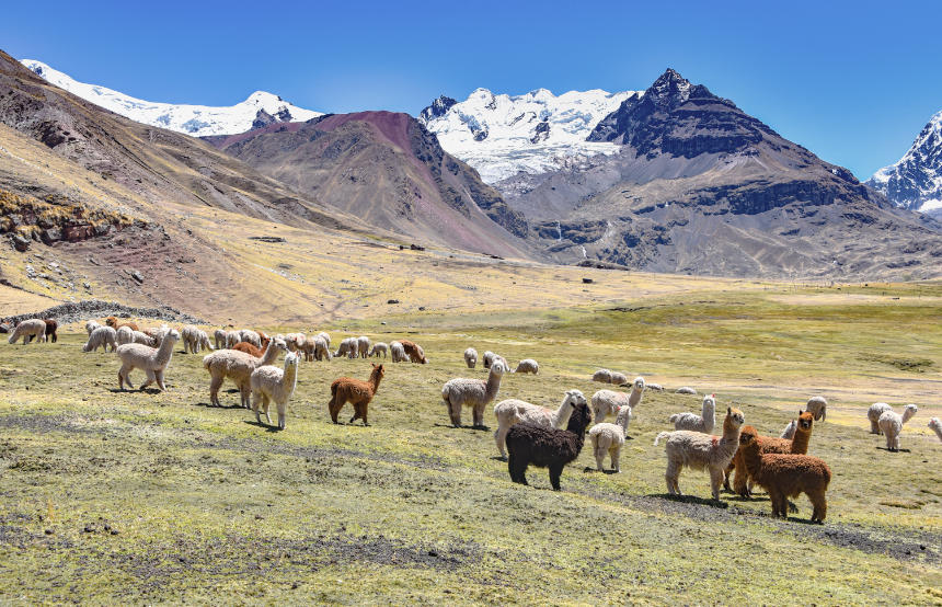 Salkantay