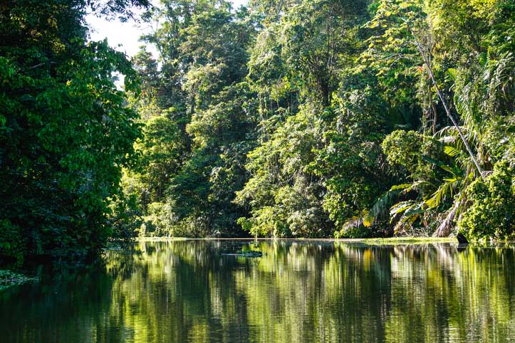 National park in costa rica