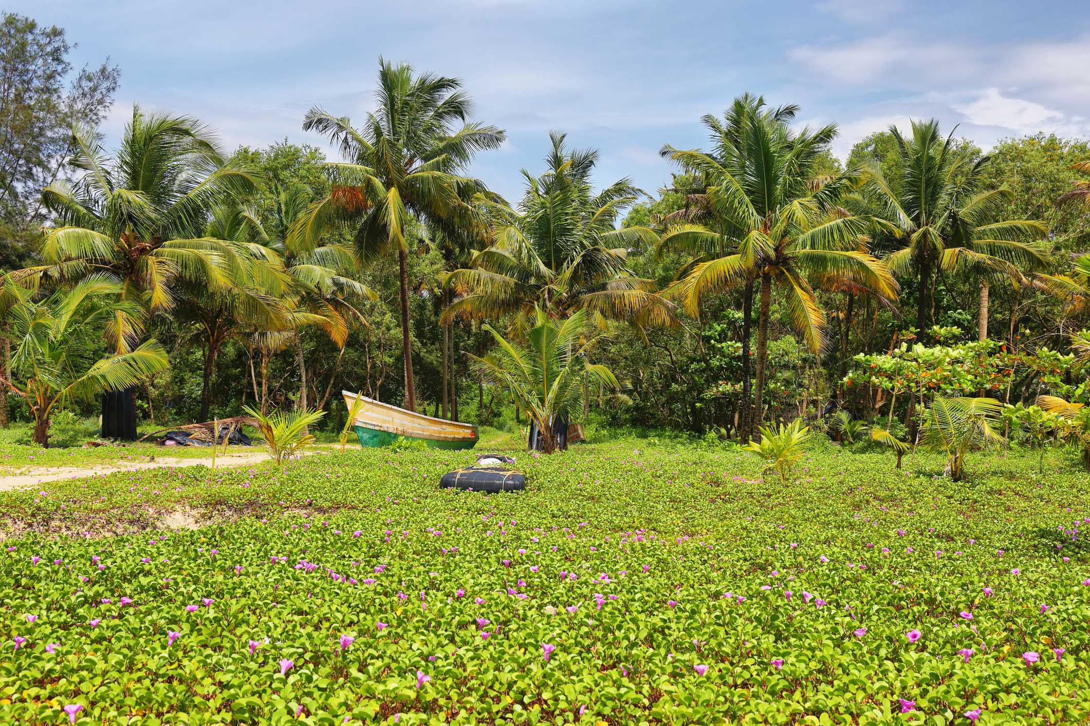 Marari beach, Mararikulam