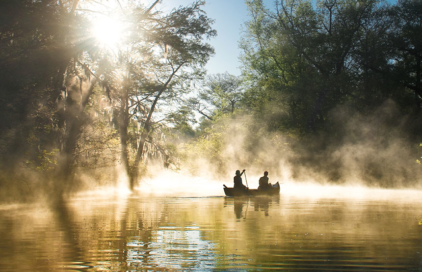 Everglades, USA