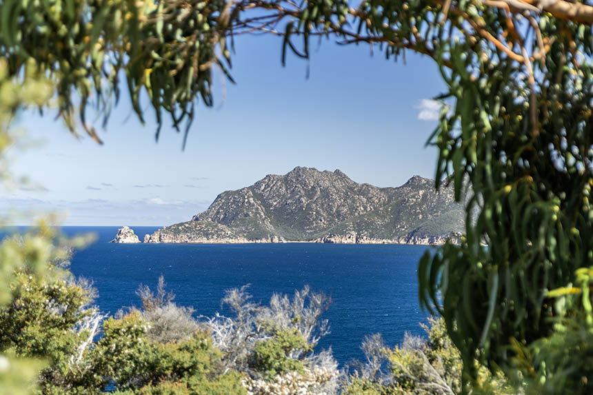 View of Freycinet National Park through the trees.