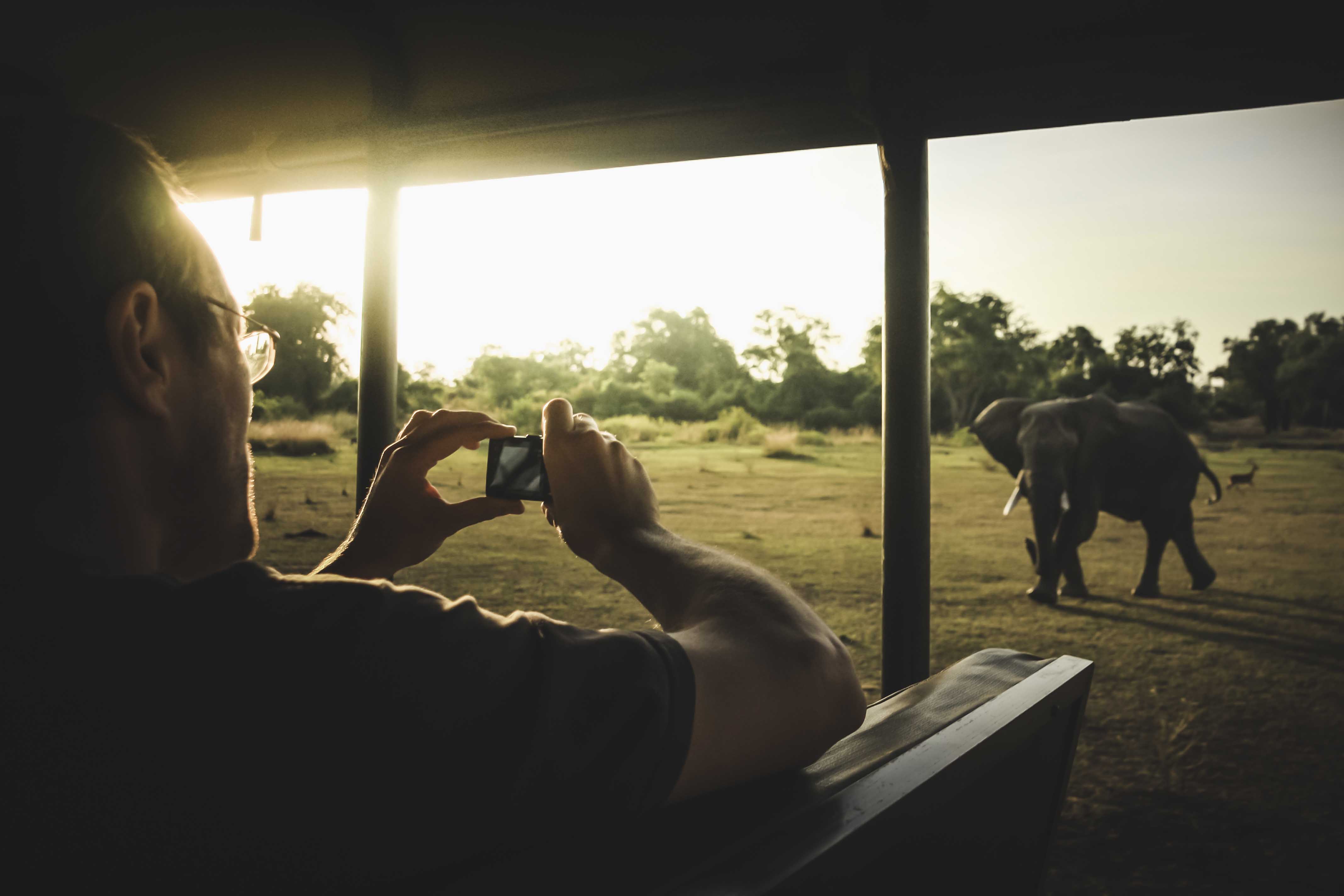 Man taking photo on safari 