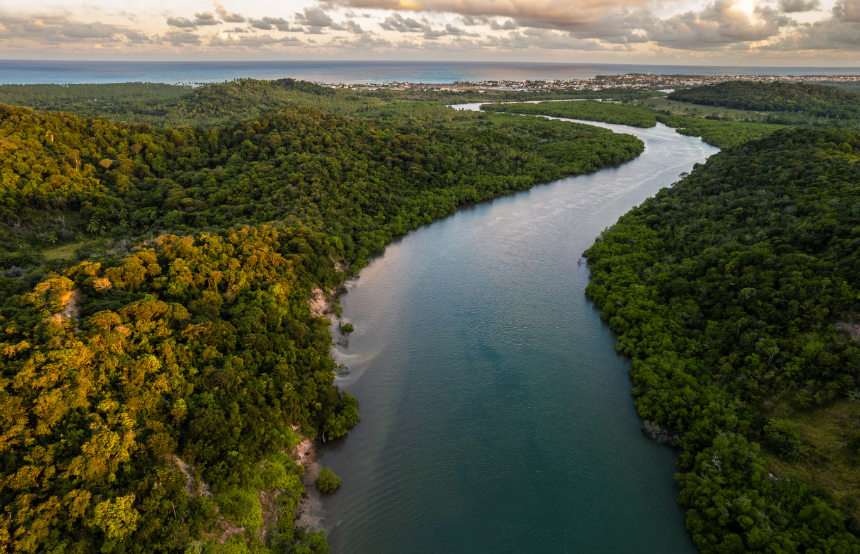 Amazon Rainforest