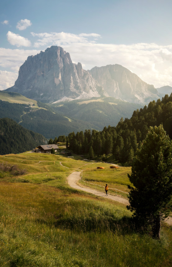 The Dolomites