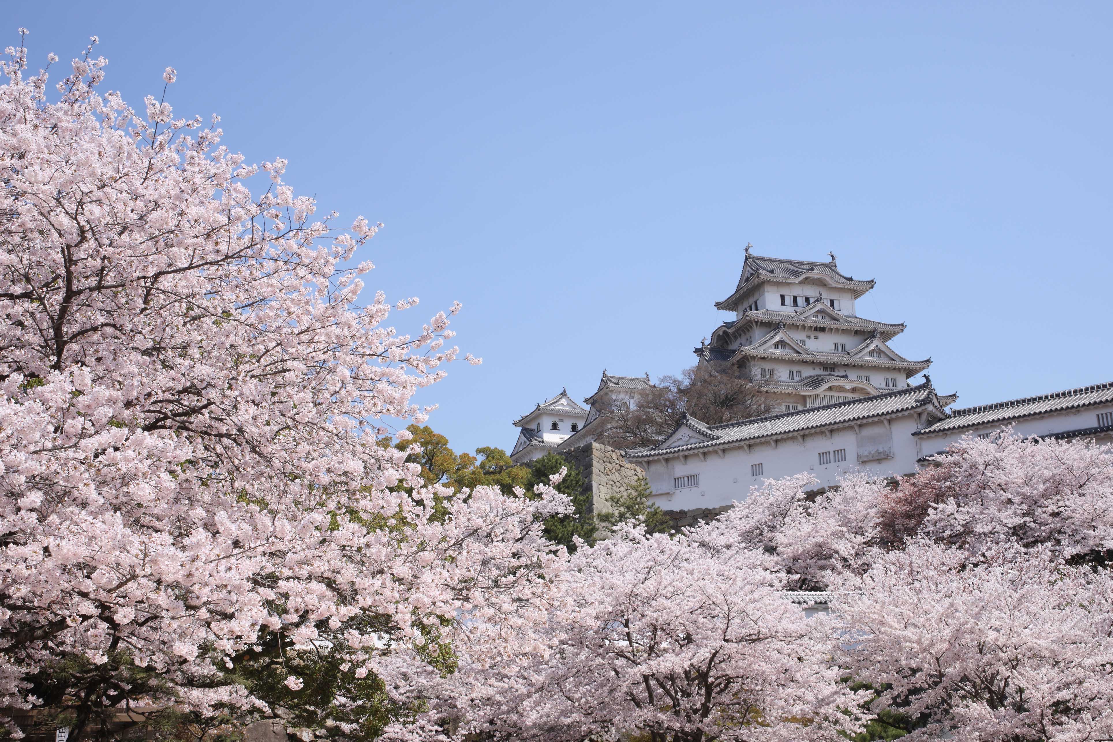 castle in Japan