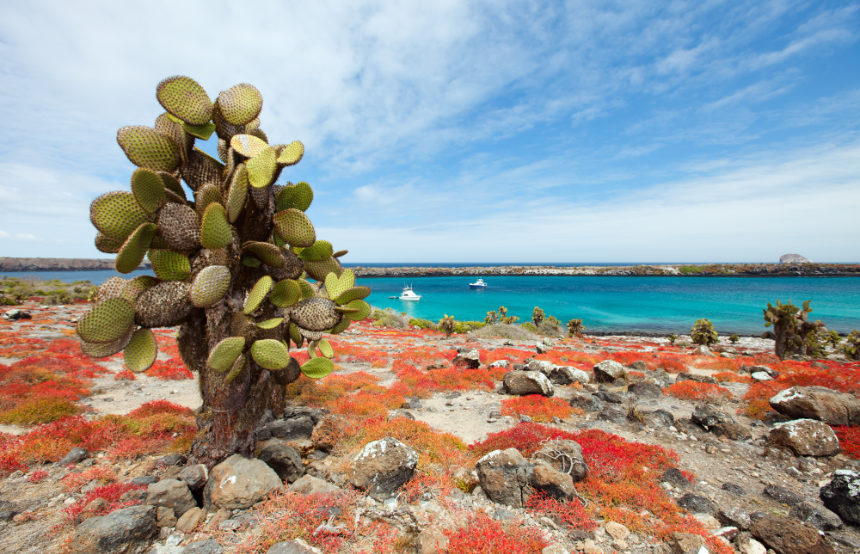 Galapagos Islands