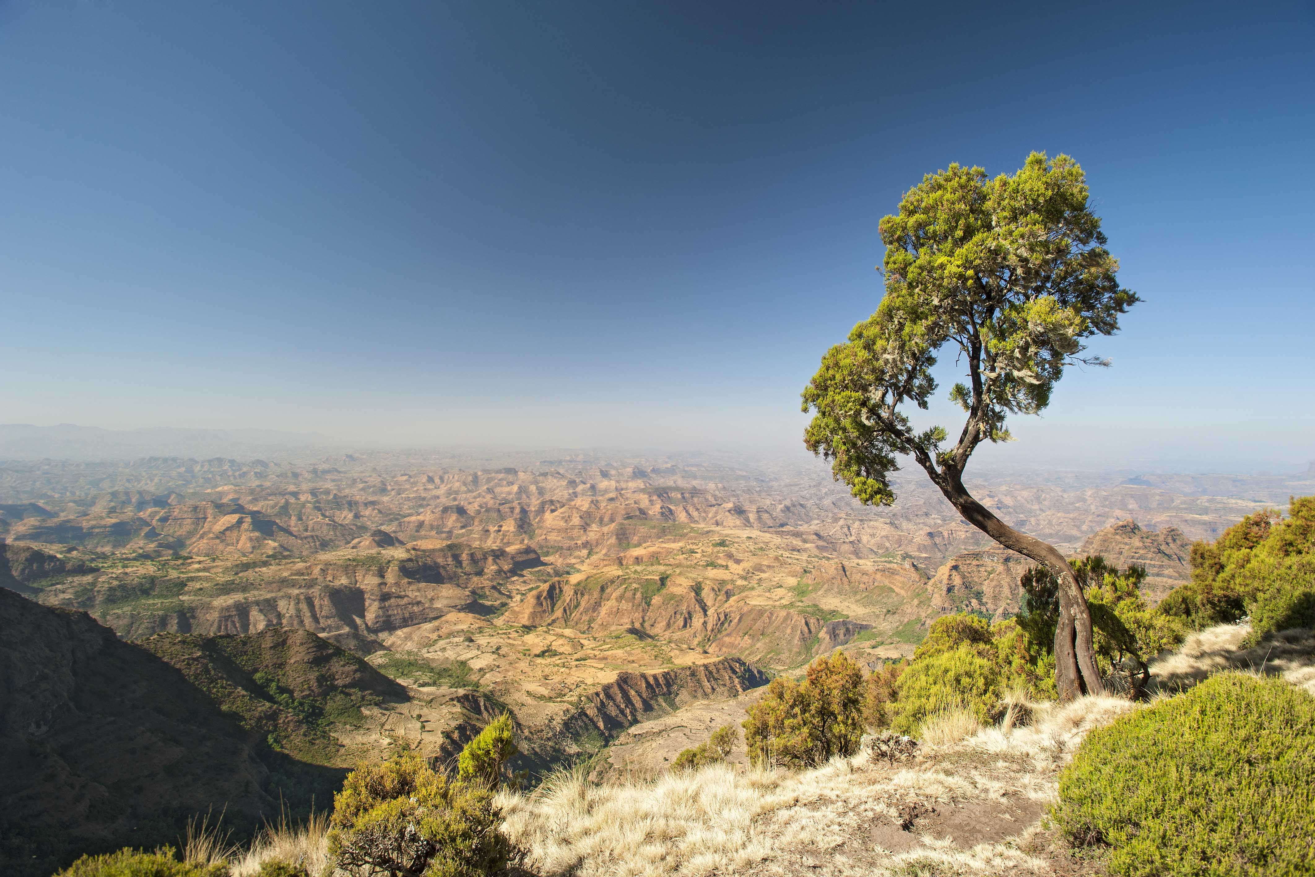 Ethiopian mountain view