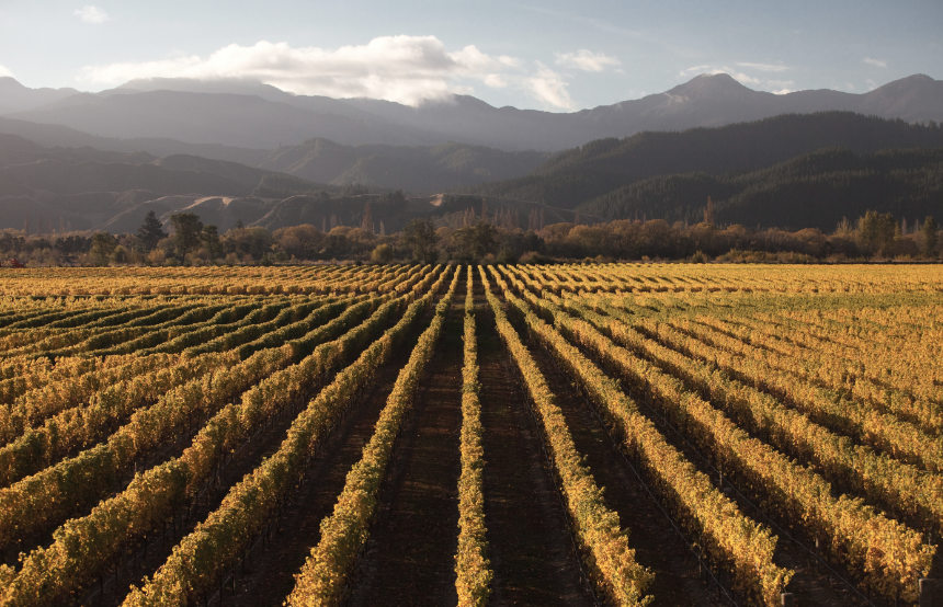 Marlborough, New Zealand