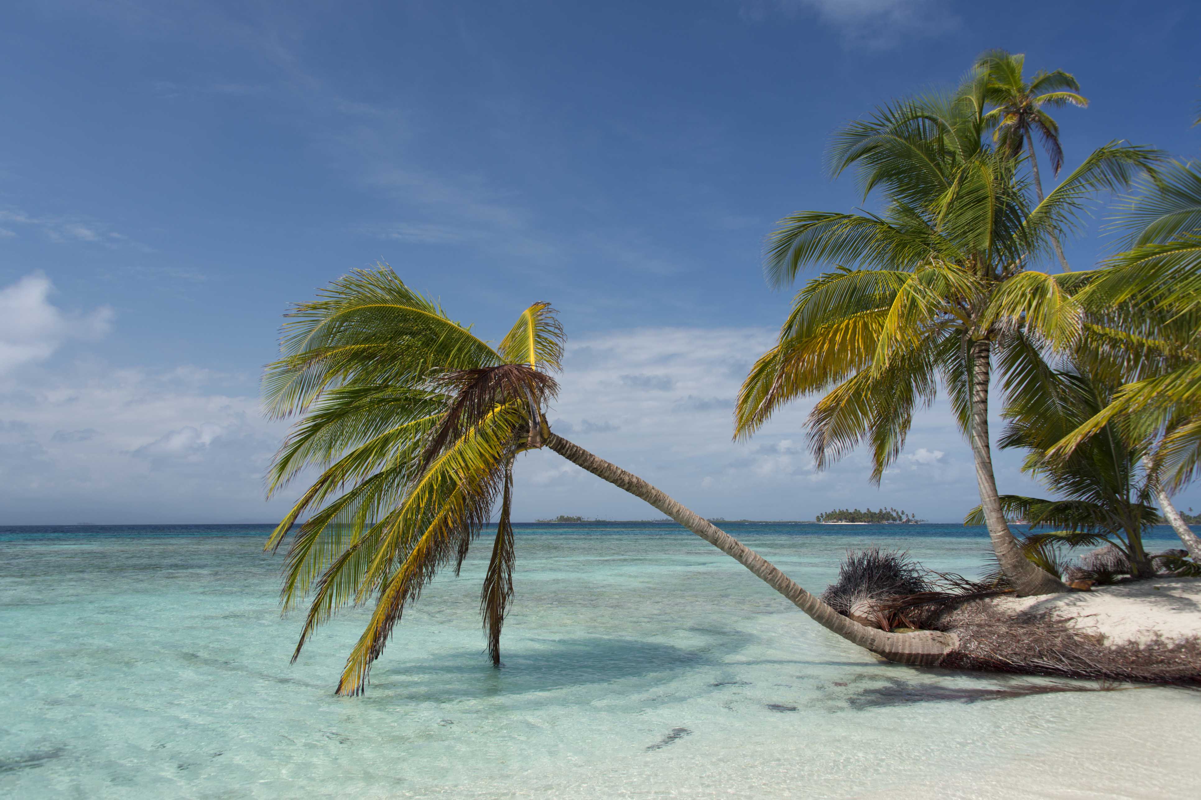 beach in panama