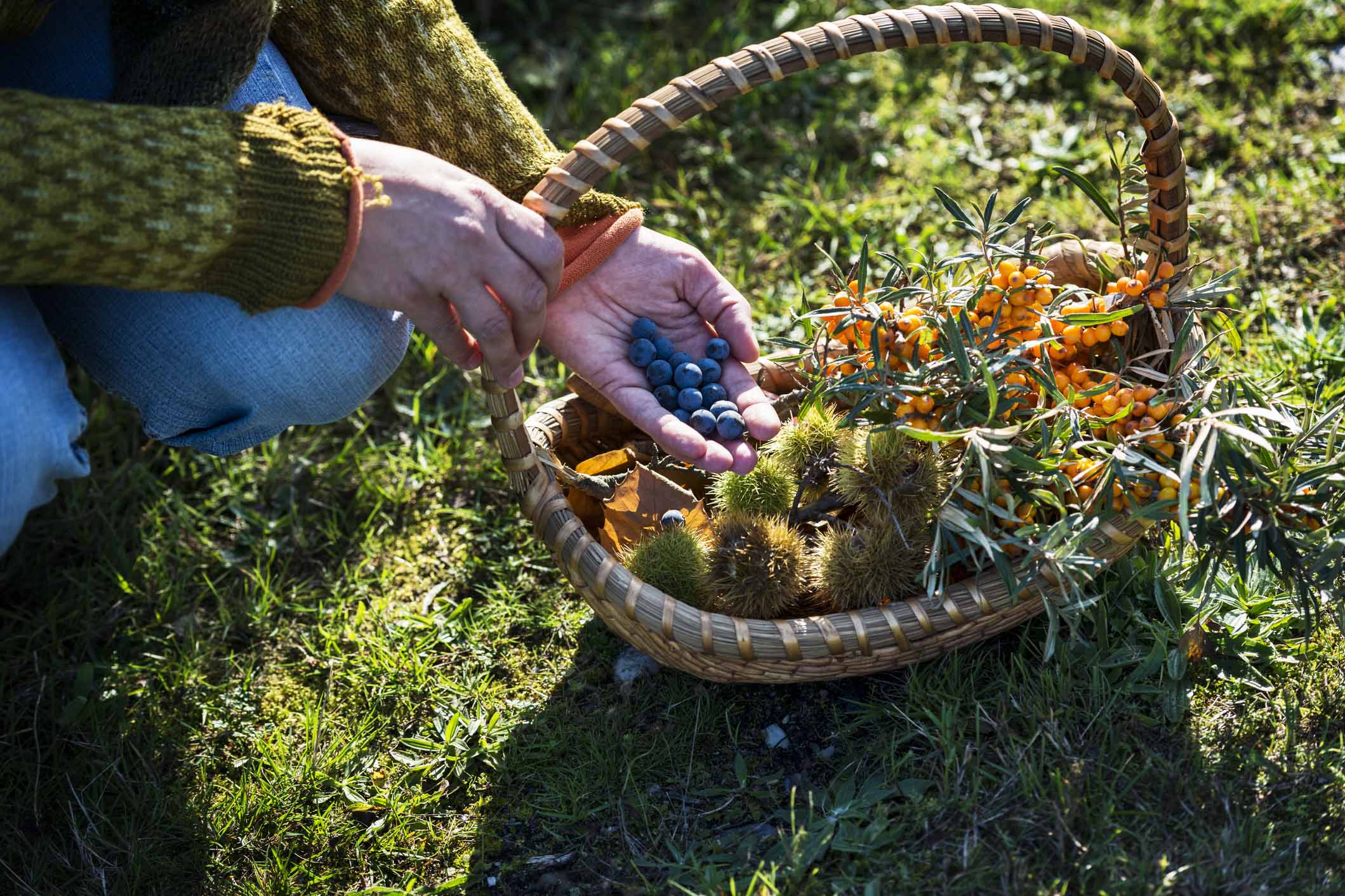 freedom to roam in sweden berry foraging
