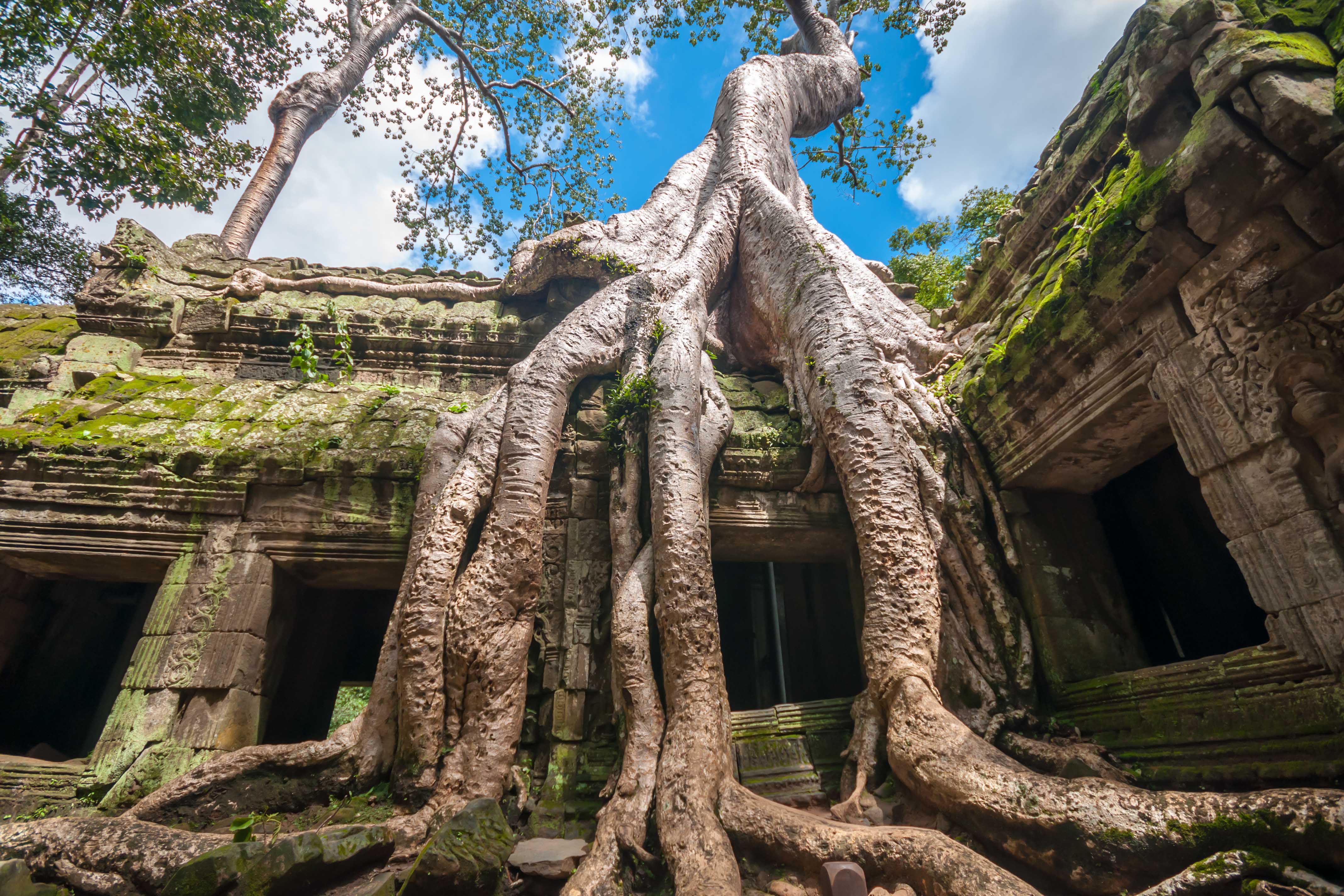 cambodia temple