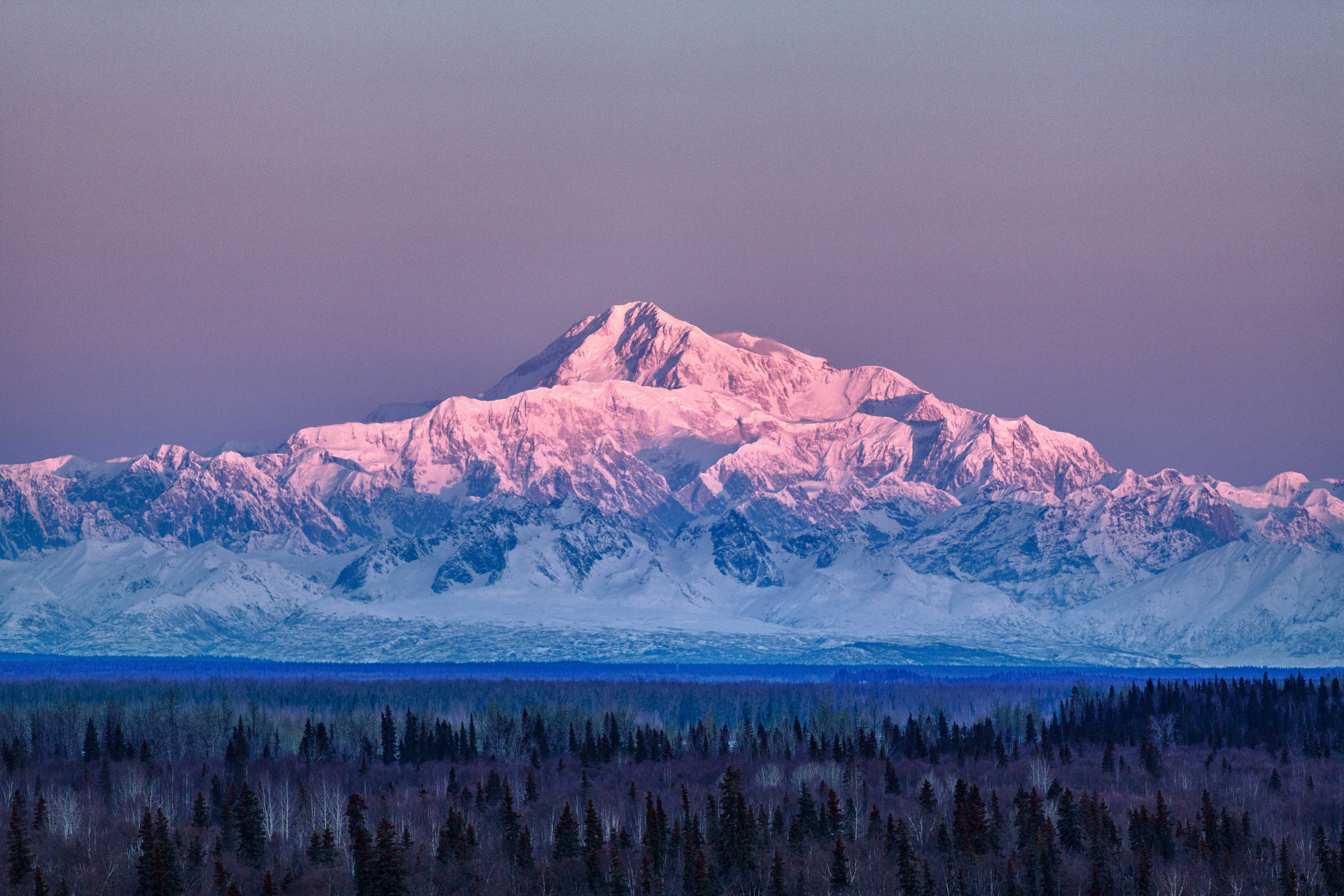 denali national park