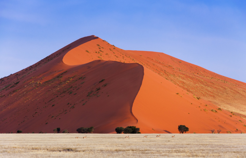 Namib Desert