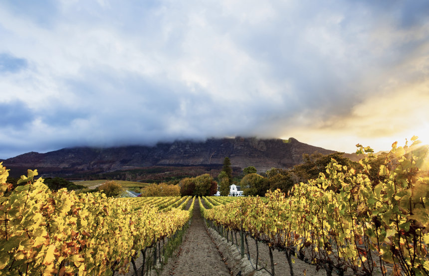 Cape Winelands, SA