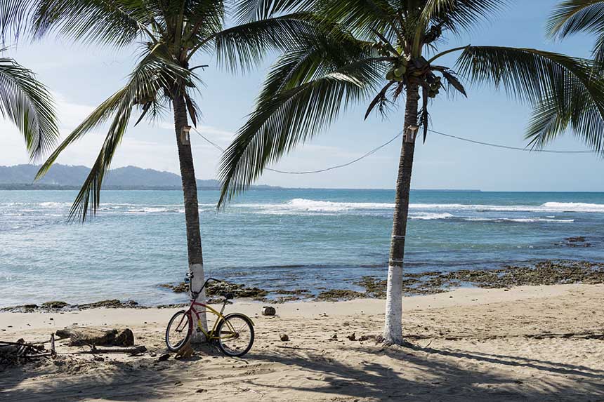 A bike between palms on a beach in Costa Rica