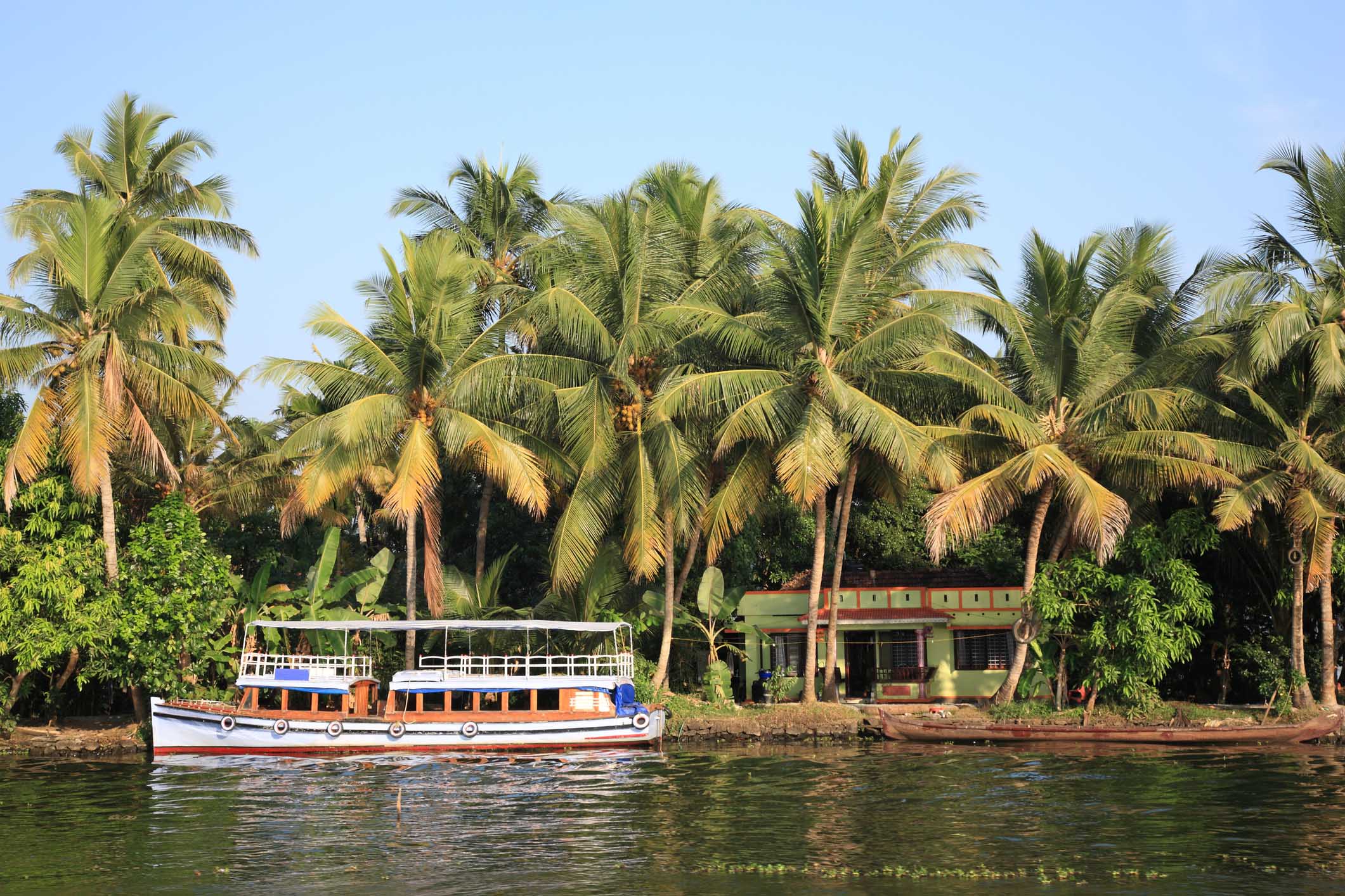 alleppey in the sun