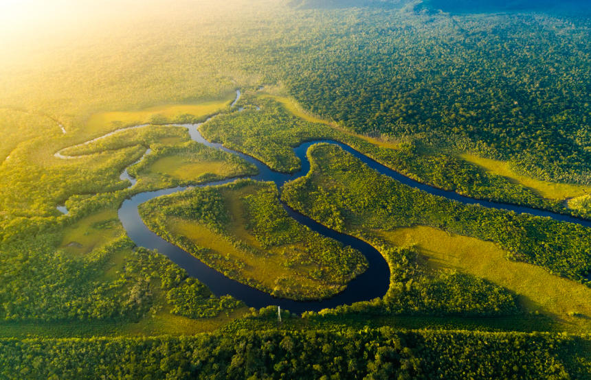 Pantanal