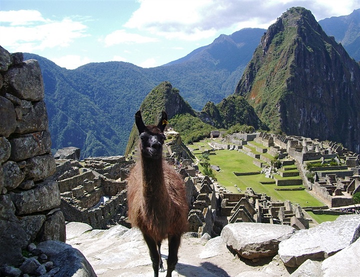 Machu Pichu