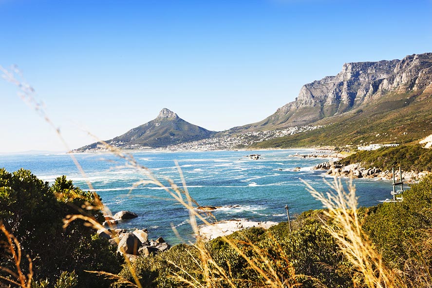 Lion's head near Cape Town