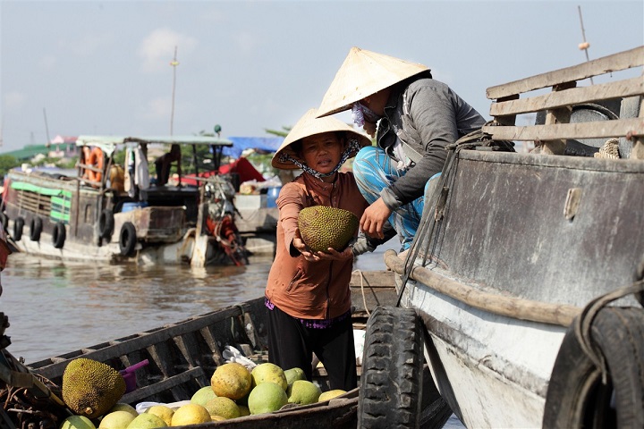 Mekong Delta